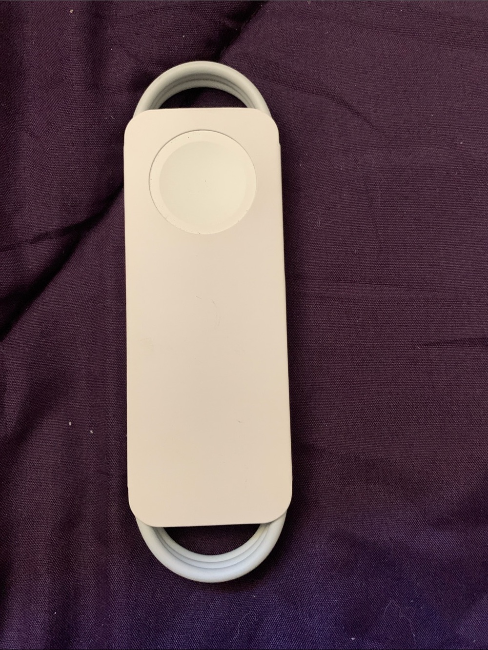 Apple Watch Magnetic USB-C Fast Charger.